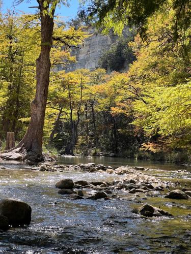 a river with a tree and rocks in the water at Seven Bluff Cabins in Concan