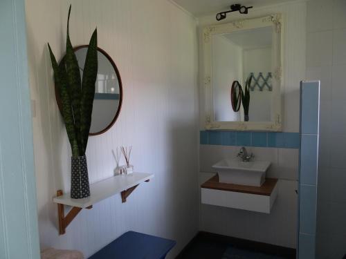 a bathroom with a sink and a mirror and a plant at Hotel Boutique La Perouse in Hanga Roa