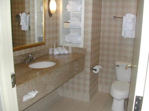 y baño con lavabo y aseo. en Holiday Inn Express Hotel & Suites Erie-Summit Township, an IHG Hotel en Erie