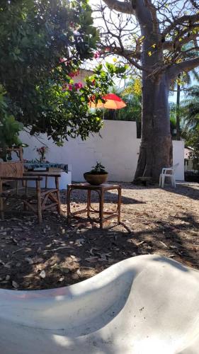 stół piknikowy i stół z drzewem w obiekcie KASA BOUBAK w mieście Kafountine