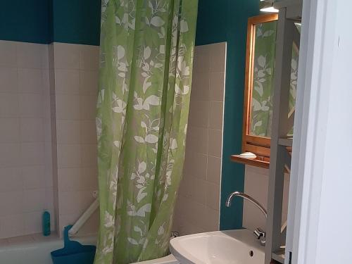 une salle de bain avec un rideau de douche avec des toilettes et un lavabo dans l'établissement Appartement T3 idéal, proche plage et centre, parking, balcon - FR-1-319-491, à Arcachon