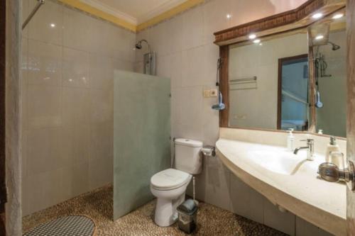 a bathroom with a toilet and a sink and a mirror at White Lotus Oasis in Ubud