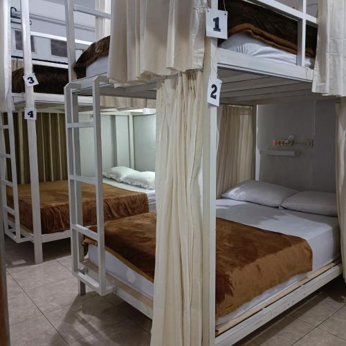 ジョグジャカルタにあるBSH (Bu Sud's House) Yogyakartaの二段ベッド2組が備わるドミトリールームのベッド1台分です。