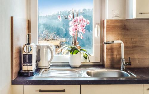 a kitchen counter with a sink and a window with flowers at Cozy Home In Feldbach With Kitchen in Feldbach