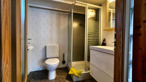een kleine badkamer met toilet en douche bij Ferienhaus Seepferdchen in Göhren