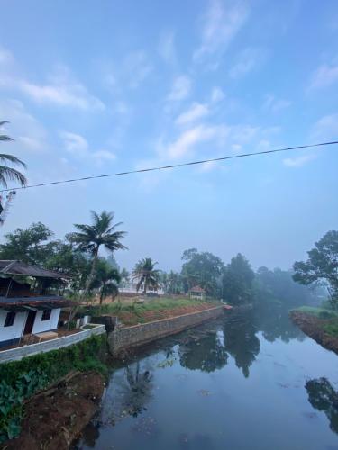 a river with palm trees in the distance at Alappattu meadows in Kottayam