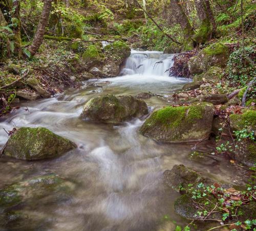 a stream in the woods with rocks and a waterfall at Apartamentos Herri Ondo REFUGIO CLIMATICO in Iturmendi