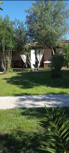 un cortile con una casa, un albero e un prato di GIARDINO DEL SOLE a Olbia