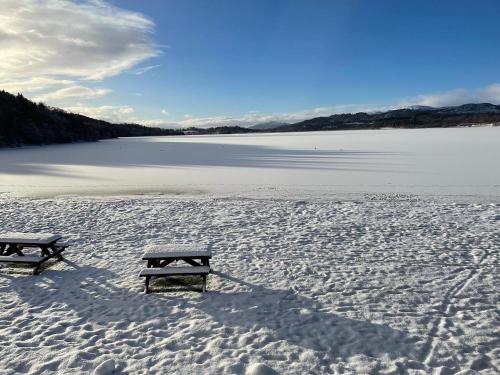 two benches sitting in the snow next to a body of water at Woodside retreat holiday home in Aviemore in Aviemore