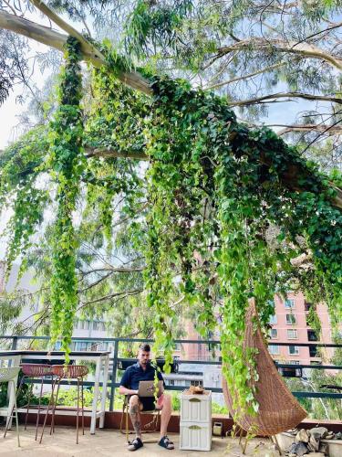 a man sitting in a chair under a hanging plant at Kunming Upland International Youth Hostel ,near the city center ,2 mins walk to the subway, 2 mins walk to the Green Lake, Close to Yuan tong Temple, Old street, Yunnan University, convenient payment and visa cards are accepted in Kunming