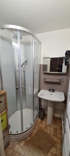 La salle de bains est pourvue d'une douche et d'un lavabo. dans l'établissement Le Bois Joli, à Saint-Pierre-de-Chartreuse
