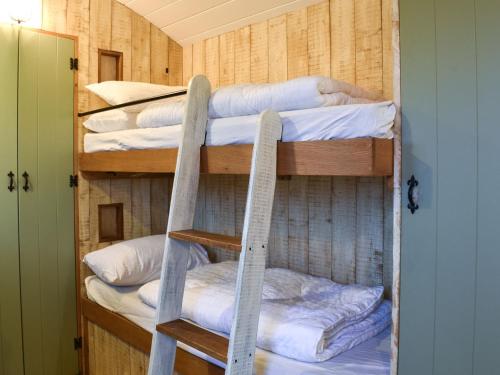 Habitación con 4 literas y escalera. en Birchwood House Farm Shepherds Hut, en Sherfield English