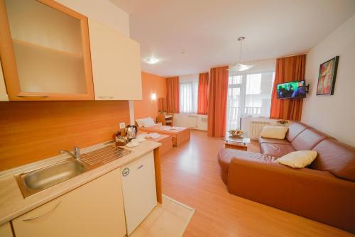 a kitchen and living room with a couch and a sink at Apart Hotel Flora Residence Daisy in Borovets