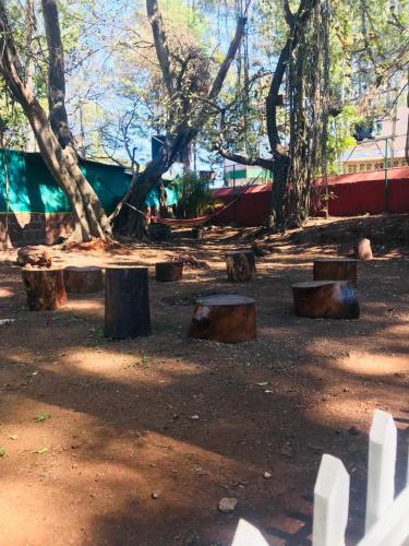a group of trees and logs in a park at Citadel Resort in Panchgani