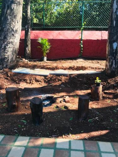 a garden with trees and stumps in the dirt at Citadel Resort in Panchgani