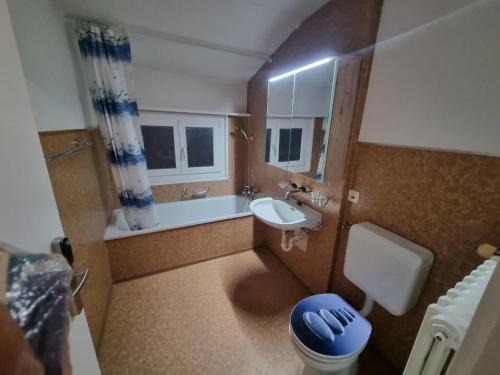 a small bathroom with a sink and a toilet at 24-7 Rooms in Sennwald