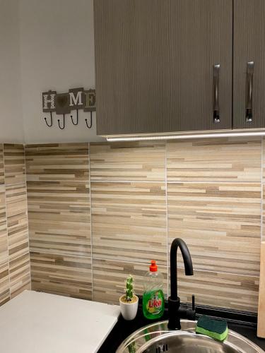 a kitchen sink with a faucet next to a counter at Apartman Ninkovic in Pale
