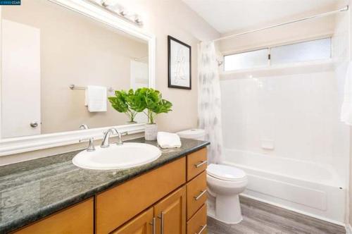 Concord Luxury Home – Photos 4