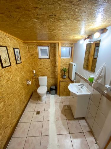 a bathroom with a toilet and a sink at Casa Aramis in Azuga