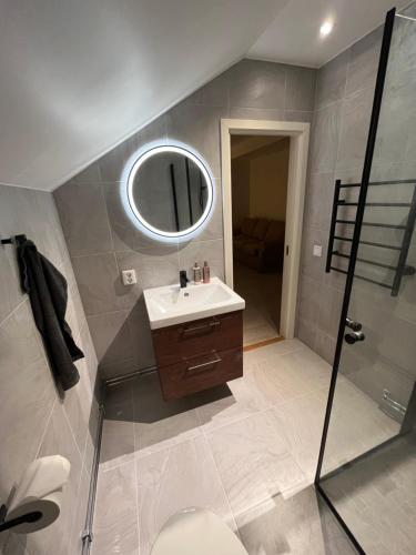 a bathroom with a sink and a mirror at Nice Apartment close to everything in Malmö