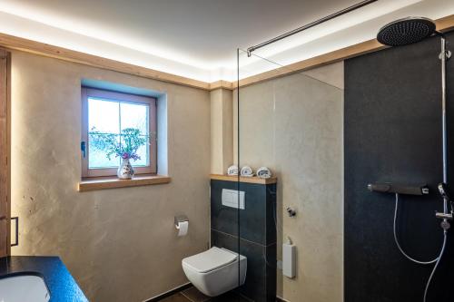 baño con ducha y aseo y ventana en Schwaiger Alpen-Ferienwohnung auf 1800m, en Kaltenbach