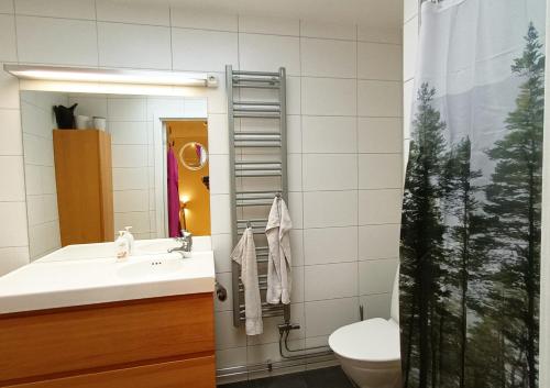 a bathroom with a sink and a toilet and a mirror at Nice house near the center of Ängelholm in Ängelholm