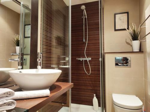 ein Bad mit einem WC, einem Waschbecken und einer Dusche in der Unterkunft AC Apartaments Bordes in Bordes d´Envalira 