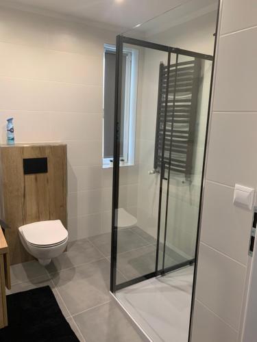 a bathroom with a toilet and a glass shower at Domki u Edzi in Krajno-Zagórze