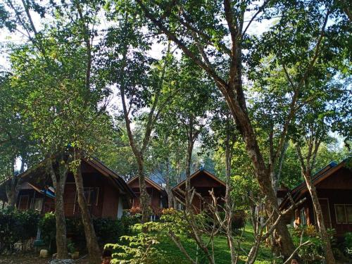 una fila de casas en el bosque con árboles en Koh mook happy bungalow en Ko Mook