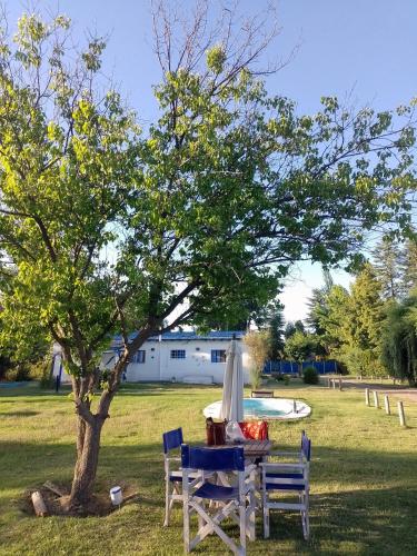 a picnic table under a tree in a park at Casa de Campo La Magdalena in Tunuyán
