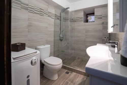 a bathroom with a toilet and a shower and a sink at Kalimera Villa, Afissos Pelion in Afissos