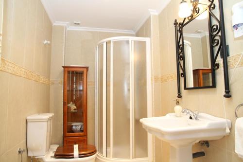 a bathroom with a shower and a sink and a toilet at Posada Casa de don Guzman in Vega de Pas