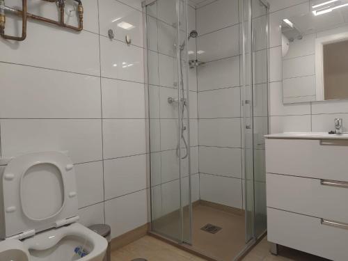 y baño con ducha, aseo y lavamanos. en Apartamentos Picasso, en Alcalá de Henares