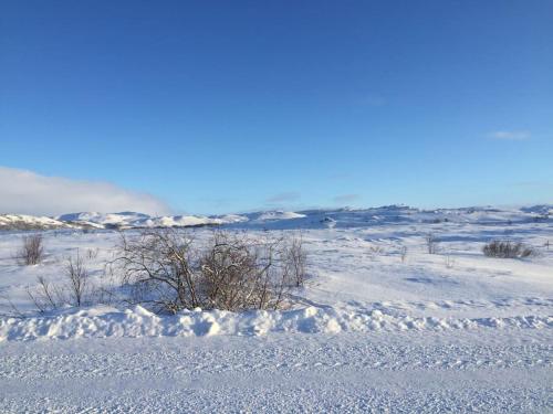 un campo cubierto de nieve con arbustos a lo lejos en Slow Travel Mývatn - Óli's Homestay-Private house v, en Myvatn
