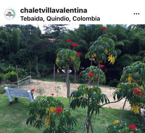 un parque con un banco y un árbol con flores rojas en Villa Valentina en La Tebaida