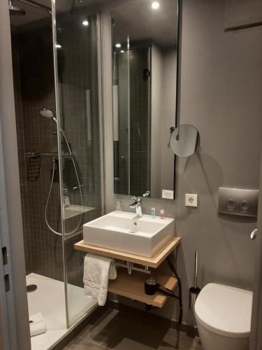 La salle de bains est pourvue d'un lavabo, d'une douche et de toilettes. dans l'établissement Schloss Beuggen, à Rheinfelden