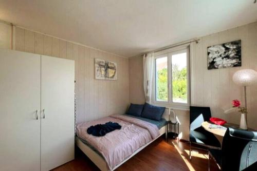 瓦利塞倫的住宿－Cheerful studio room in wallisellen，一间卧室配有一张床、一张书桌和一个窗户。