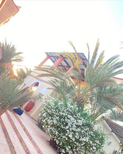 Ksar Jennaにある庭