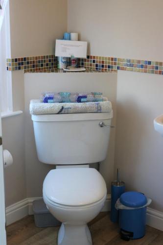 a bathroom with a white toilet in a room at Cheviot View - Newton by the Sea, Northumberland in Alnwick