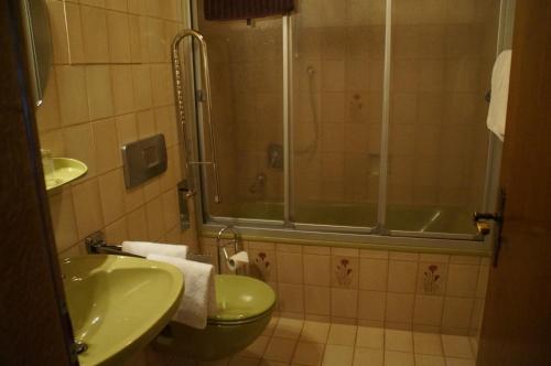 ein Bad mit einer Dusche, einem WC und einem Waschbecken in der Unterkunft Gästehaus Brunner in Zwiesel
