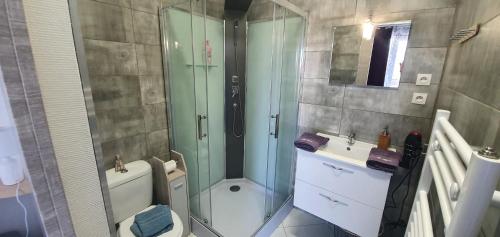 ein Bad mit einer Dusche, einem WC und einem Waschbecken in der Unterkunft Studio , Spa , nature et forêt au cœur des Vosges 