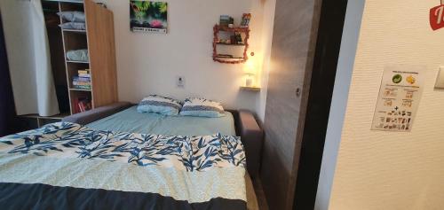 Dormitorio pequeño con cama y estante de libros en Studio , Spa , nature et forêt au cœur des Vosges, 
