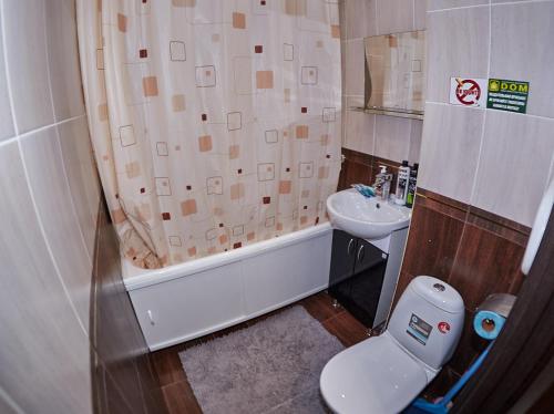 y baño con aseo, lavabo y ducha. en Триумф, en Petropavlovsk