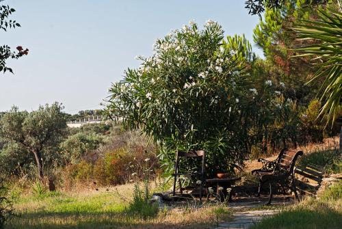 two chairs and a table sitting under a tree at Kortiri Studios in Ayios Nikolaos Sithonia