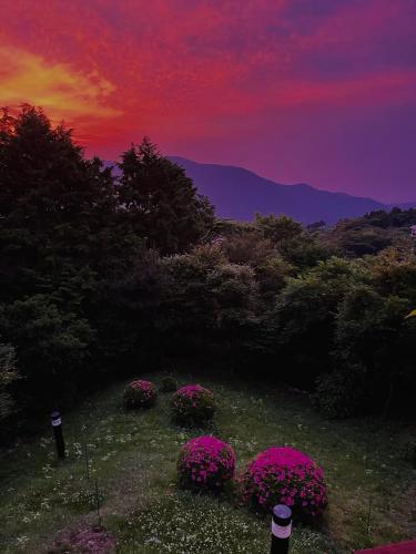 Φυσικό τοπίο κοντά σε αυτό το ryokan