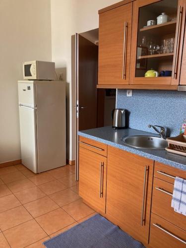 a kitchen with a sink and a refrigerator at Aparthotel City 5 in Prague