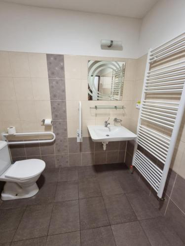 a bathroom with a toilet and a sink and a mirror at Penzion U Skály in Kytlice