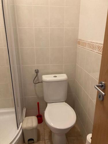 a small bathroom with a toilet and a shower at Aparthotel City 5 in Prague