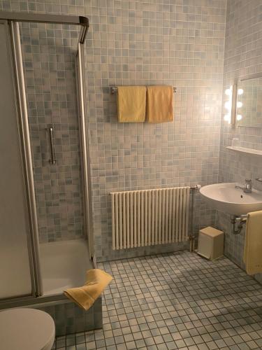 een badkamer met een douche en een wastafel bij Hotel & Restaurant Zum Riesen in Walldürn
