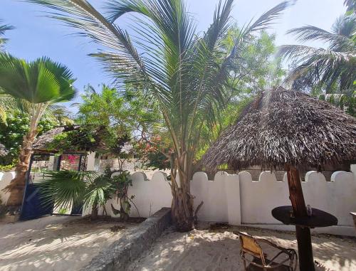 Κήπος έξω από το Beachfront Villa Ladha ya Zanzibar